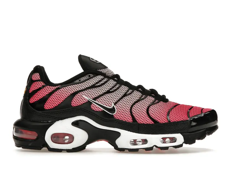 Nike Air Max Plus All Day