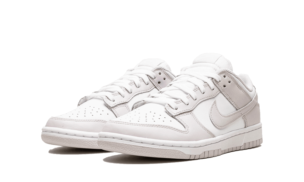 Nike Dunk Low Venice (W) - Image 1