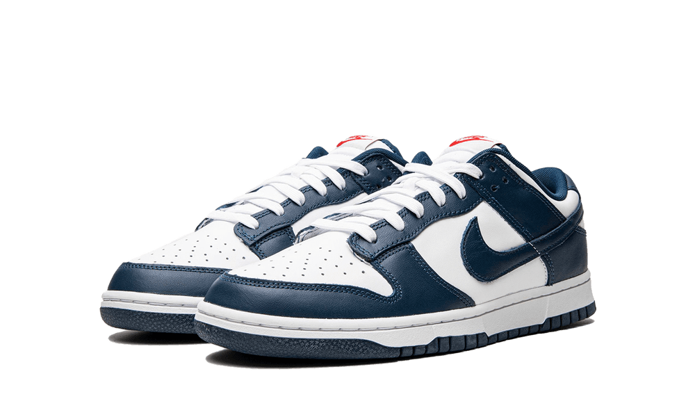 Nike Dunk Low Valerian Blue - Image 1